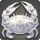 Albino Rock Crab