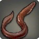 Amber Lamprey
