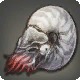 Ammonite