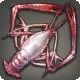 Ancient Shrimp