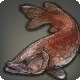 Angry Pike