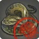 Approved Grade 2 Skybuilders' Adder