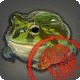 Approved Grade 2 Skybuilders' Toad