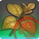 Approved Grade 4 Skybuilders' Umbral Dirtleaf