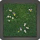 Arbor Flooring