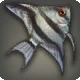 Archmatron Angelfish