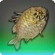 Armor Fish
