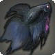 Assassin Betta