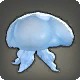 Aurelia Polyp