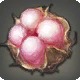 Azim Cotton Boll