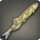 Banded Candiru