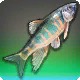 Beguiler Chub