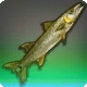 Bigcuda