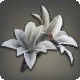 Black Brightlily Corsage