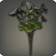 Black Byregotia