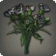 Black Carnations