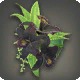 Black Cattleya Corsage