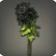 Black Chrysanthemums
