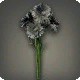 Black Cornflowers