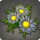 Black Daisy Corsage