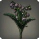 Black Lilies of the Valley