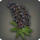 Black Lupin Corsage