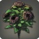 Black Oldroses