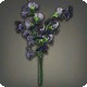 Black Sweet Peas