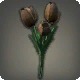 Black Tulips