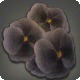 Black Viola Corsage