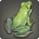 Blood-eyed Frog