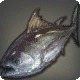 Bloodfresh Tuna