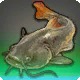 Bloodtail Zombie
