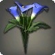 Blue Arums