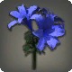 Blue Brightlilies