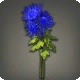 Blue Chrysanthemums