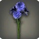 Blue Cornflowers
