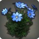 Blue Cosmos