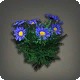 Blue Daisies