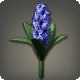 Blue Hyacinths