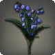 Blue Lilies of the Valley