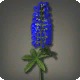 Blue Lupins