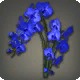 Blue Moth Orchids