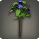 Blue Tea Flowers