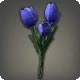 Blue Tulips