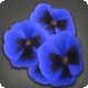 Blue Viola Corsage