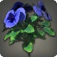 Blue Violas