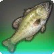 Bobgoblin Bass