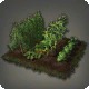 Botanist's Garden