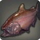 Bronze Lake Trout